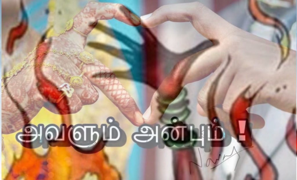 அவளும் அன்பும்